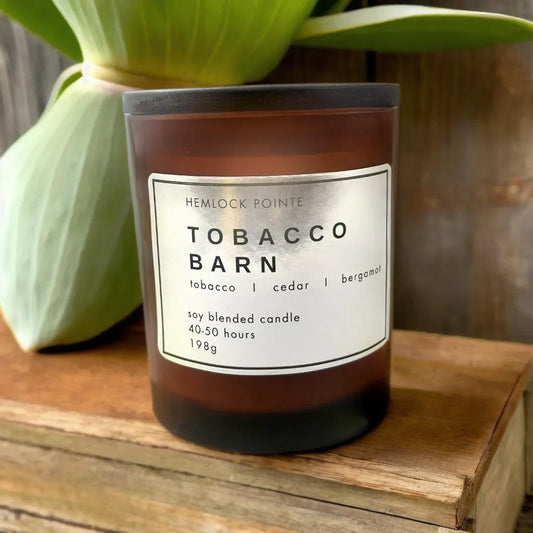 a hemlock pointe tobacco barn soy blended candle in front of tobacco on a wooden surface