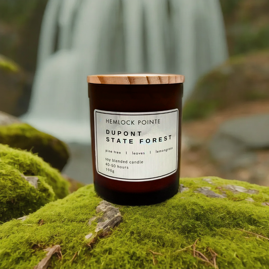 DuPont State Forest Candle